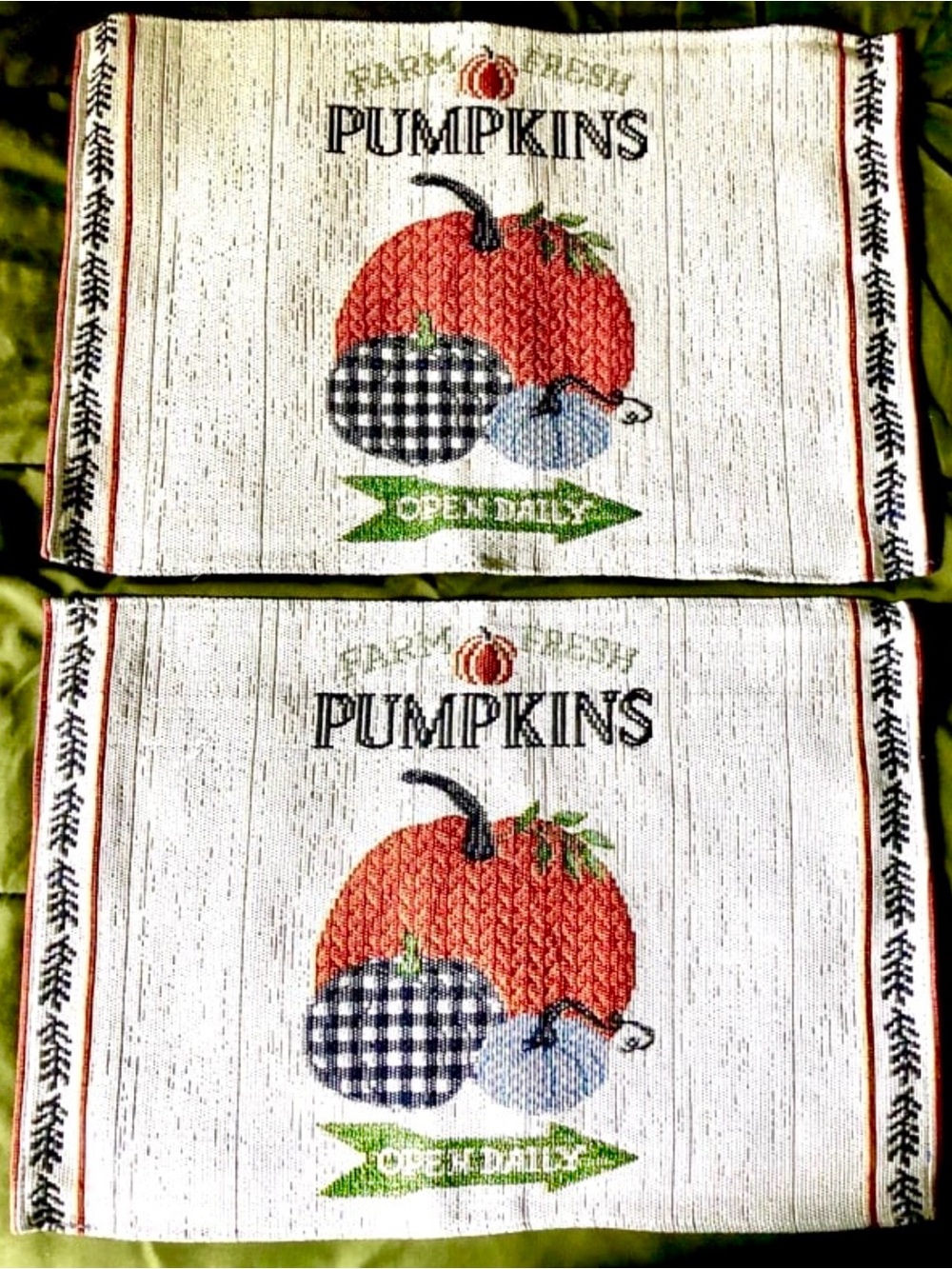 Fall Farm Fresh Pumpkins Farmhouse Tapestry Placemats 2 Orange Black Check NWOT